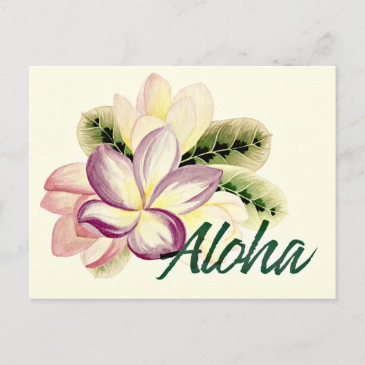 Aloha Plumeria Postkarte (Vorderseite)