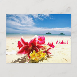Aloha Post Card Postkarte