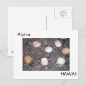 Aloha Postkarte (Vorne/Hinten)