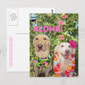 ALOHA! POSTKARTE (Vorne/Hinten)