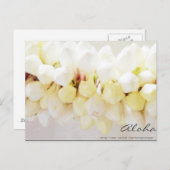 Aloha und Mahalo Postcard Postkarte (Vorne/Hinten)