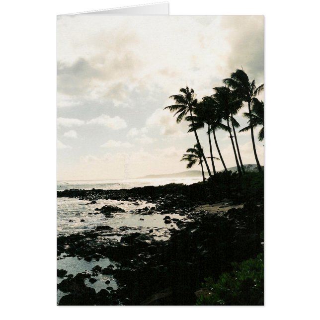 Aloha! von Hawaii (Vorne)