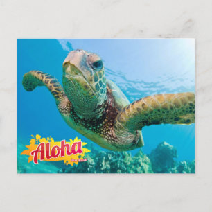 Aloha von Hawaii Honu Green Sea Turtle Postcard Postkarte