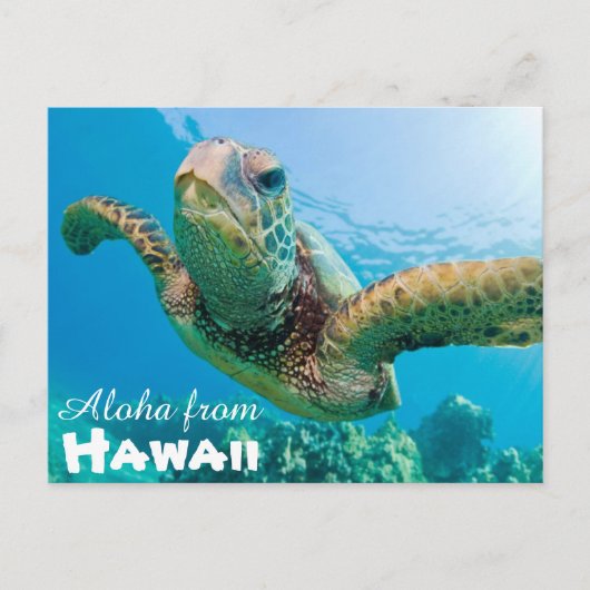 Aloha von Hawaii Honu Green Sea Turtle Postkarte (Vorderseite)