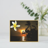 Aloha von Hawaii Plumeria Sunset Postkarte (Stehend Vorderseite)