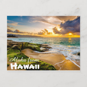 Aloha von Hawaii Postcard Postkarte