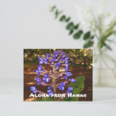 Aloha von Hawaii Postkarte (Stehend Vorderseite)