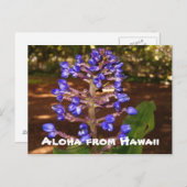 Aloha von Hawaii Postkarte (Vorne/Hinten)