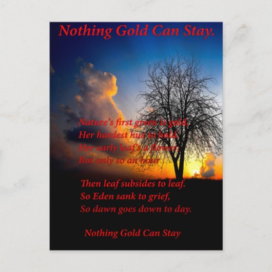 Alone Tree Postkarte (Vorderseite)