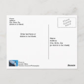 Along Manistee Postkarte (Rückseite)