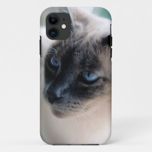 Aloof Siamese Cat Case-Mate iPhone 5 Fall 11 Hülle