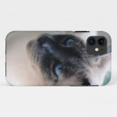 Aloof Siamese Cat Case-Mate iPhone 5 Fall Hülle (Rückseite (Horizontal))