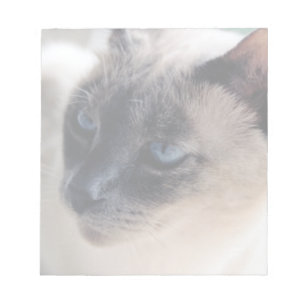 Aloof Siamese Cat Notepad Notizblock