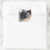 Aloof Siamese Cat Square Sticker (Tasche)
