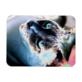 Aloof Siamese Katze veränderte Flexible Magnet (Horizontal)