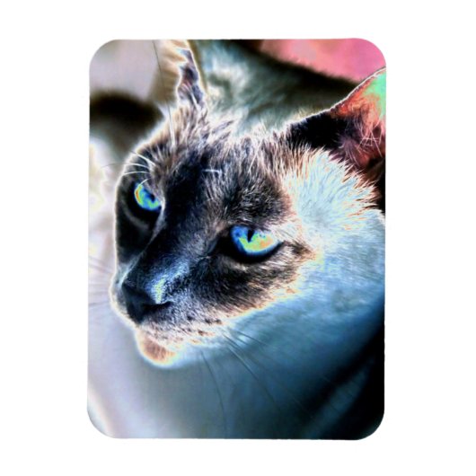 Aloof Siamese Katze veränderte Flexible Magnet (Vertikal)
