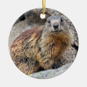 Alp Marmot Ornament