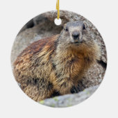 Alp Marmot Ornament (Hinten)
