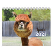 Alpaca 2021 - Kalender (Titelbild)