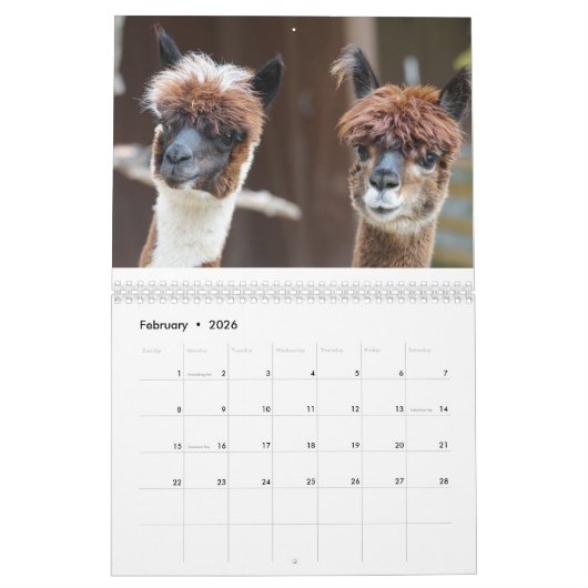 Alpaca 2025 kalender (Feb 2026)