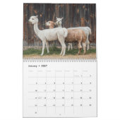 Alpaca 2025 kalender (Jan 2027)