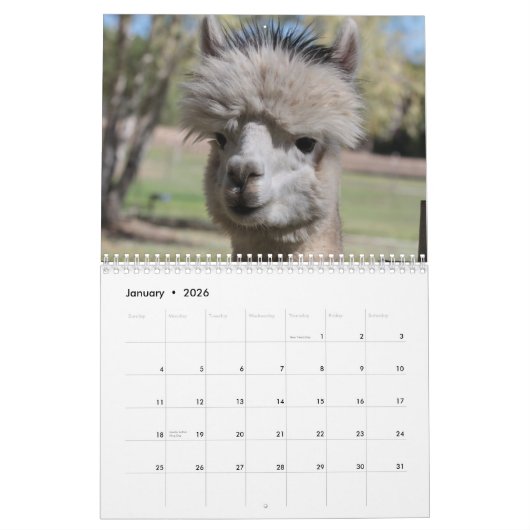 Alpaca 2025 - Kalender (Jan 2026)