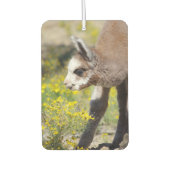 Alpaca Air Freshener Rossi Autolufterfrischer (Vorderseite)