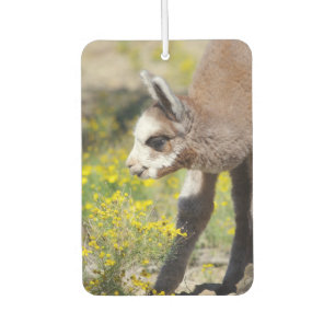 Alpaca Air Freshener Rossi Autolufterfrischer