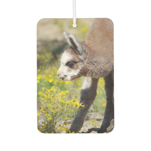 Alpaca Air Freshener Rossi Autolufterfrischer (Vorderseite)