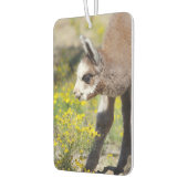 Alpaca Air Freshener Rossi Autolufterfrischer (Links)