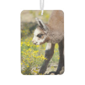 Alpaca Air Freshener Rossi Autolufterfrischer (Rückseite)