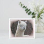 Alpaca Analisierung Postkarte (Stehend Vorderseite)