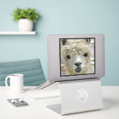 Alpaca Aufkleber (Laptop auf Schreibtisch)