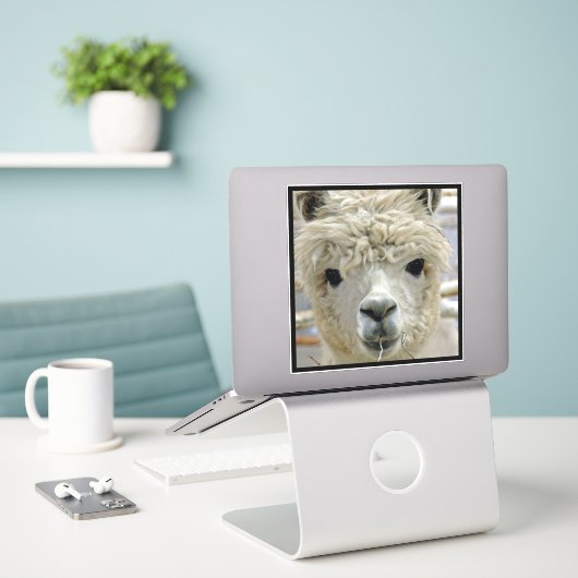 Alpaca Aufkleber (Laptop auf Schreibtisch)
