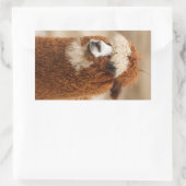 Alpaca-Aufkleber Rechteckiger Aufkleber (Tasche)