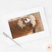 Alpaca-Aufkleber Rechteckiger Aufkleber (Umschlag)