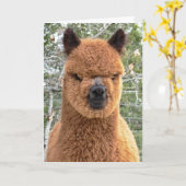 Alpaca Birthday Card Karte (Gelbe Blume)