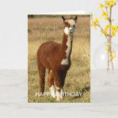 Alpaca Birthday Karte (Gelbe Blume)