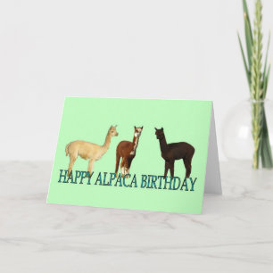 Alpaca Birthday Karte