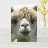 ALPACA BLANK GREETKARTE KARTE (Gelbe Blume)