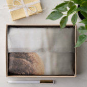 Alpaca Brown and White Animal Foto Seidenpapier (Geschenk)