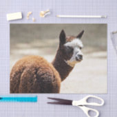 Alpaca Brown and White Animal Foto Seidenpapier (Handwerk)