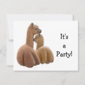 Alpaca Buddies Einladung (Vorderseite)