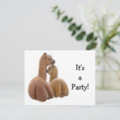 Alpaca Buddies Einladung (Stehend Vorderseite)