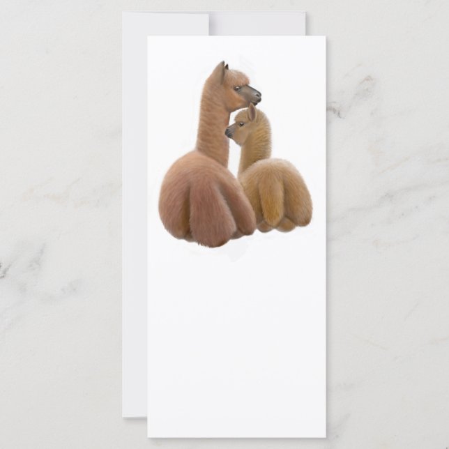 Alpaca Buddies Rack Card (Vorderseite)