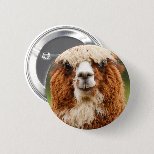 Alpaca Button (Vorne & Hinten)
