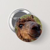 Alpaca Button (Vorne & Hinten)