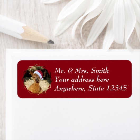 Alpaca Christmas Address Labels (Insitu)