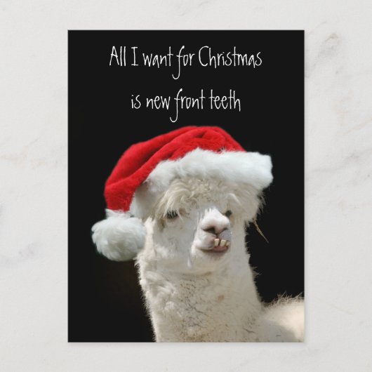 Alpaca Christmas Feiertagspostkarte (Vorderseite)
