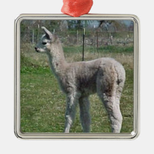 Alpaca Cria Ornament Aus Metall